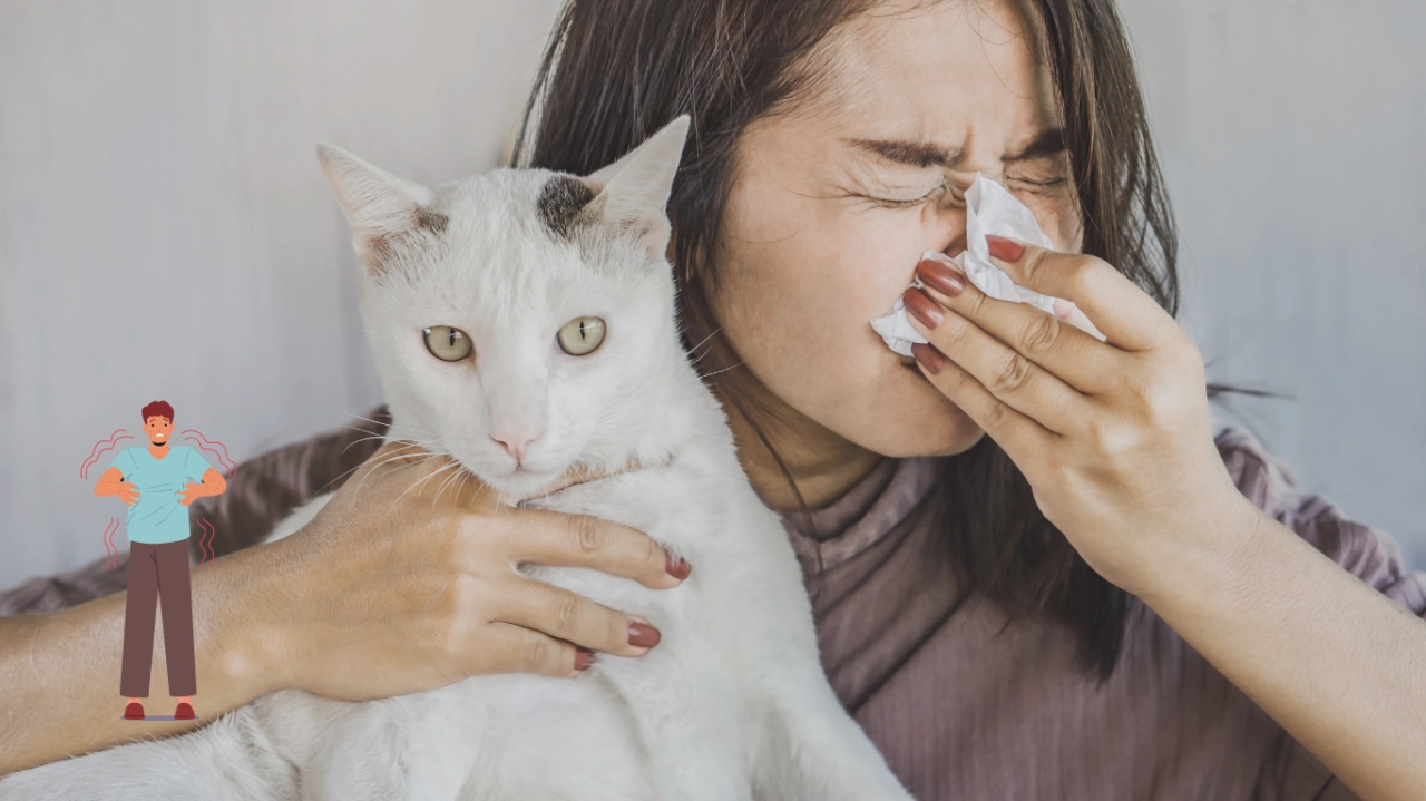 Controla la alergia a los gatos