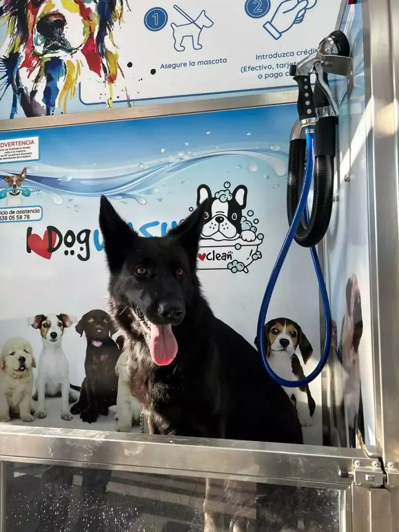 I Love Dog Wash Madrid Ciudad Lineal Autolavado de mascotas y Peluquería Canina