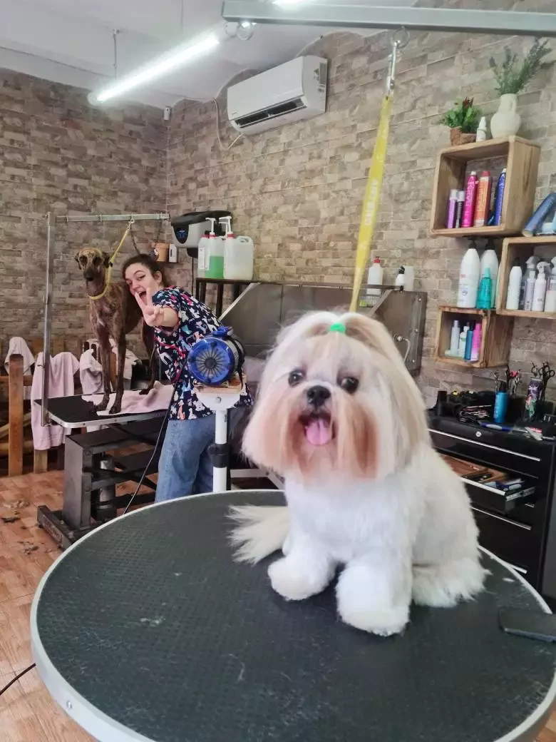 Peluts I Pelats Barceloneta peluquería canina