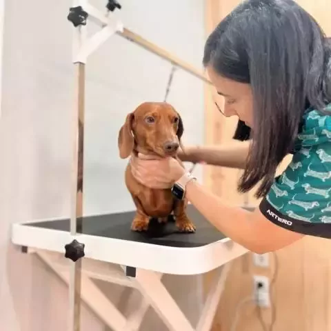 Caninós Peluquería Canina